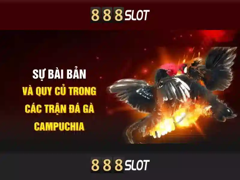 Nhập Thông Tin Đăng Ký