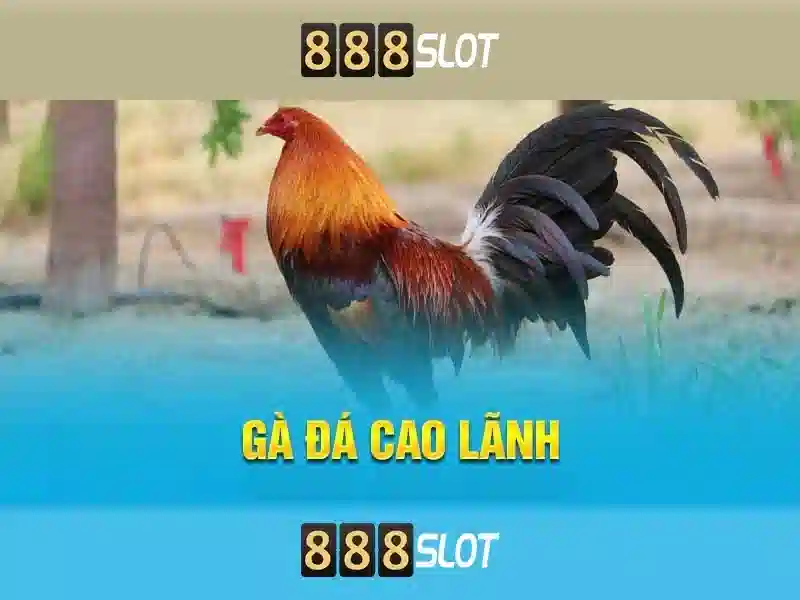 tài 888slot