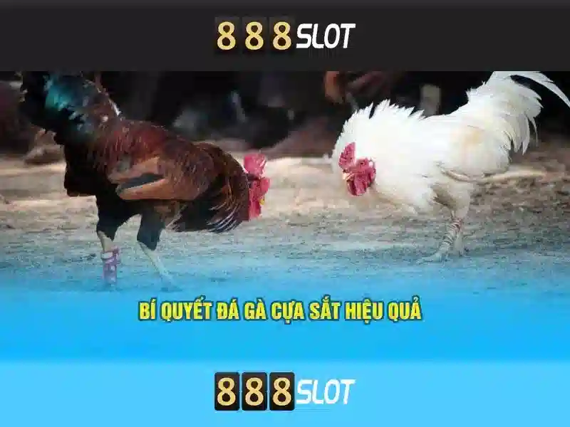 Ưu Điểm Nổi Bật 888SLOT