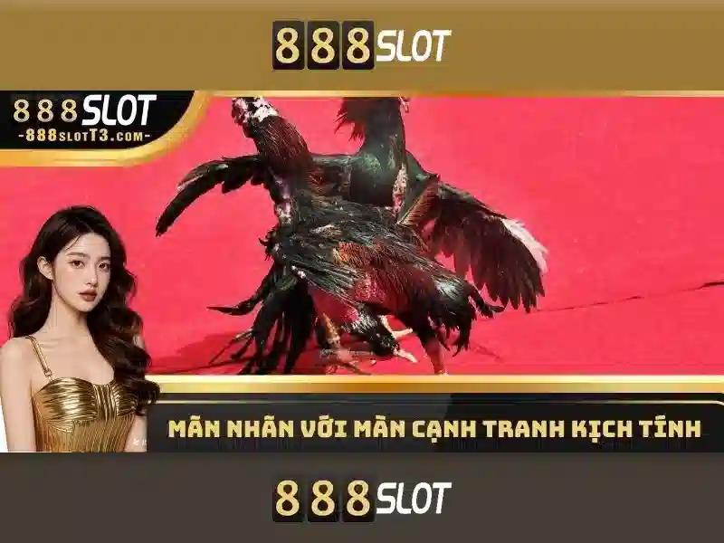Trải nghiệm slot 888SLOT