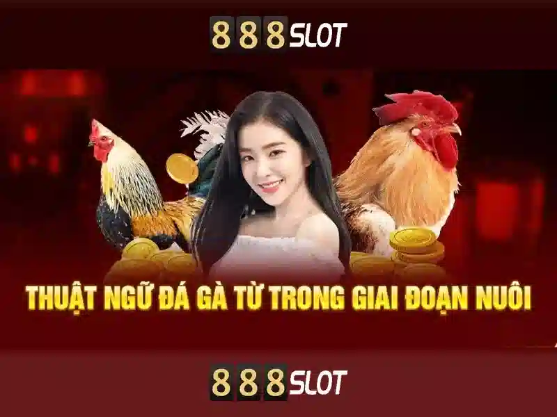 888SLOT – Nền tảng Slot trực tuyến hàng đầu châu Á 2026