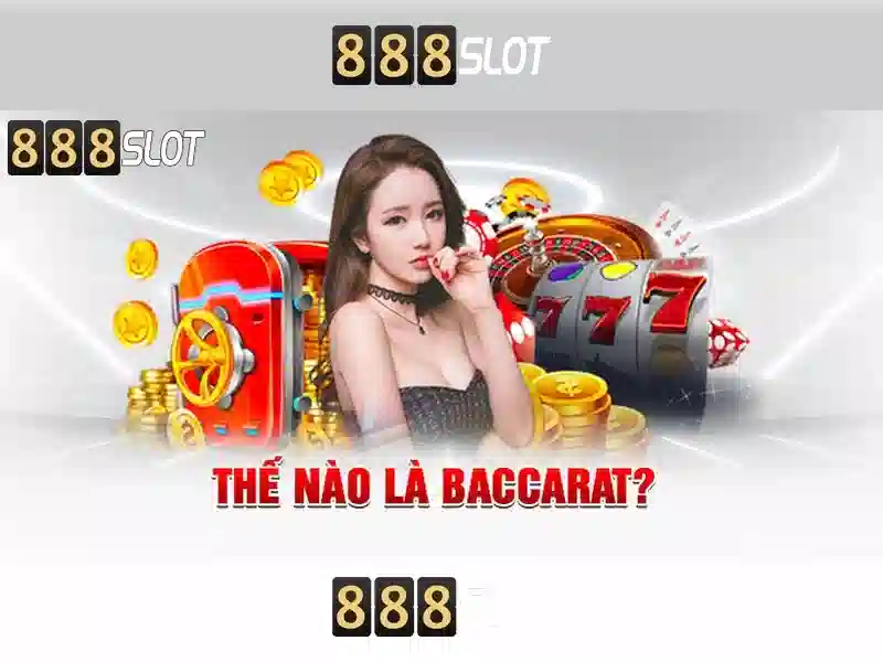 Đặc Điểm Nổi Bật