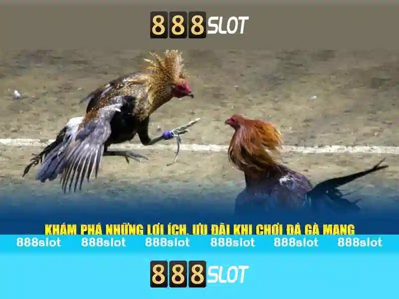 Trải nghiệm cá cược Slot đỉnh cao