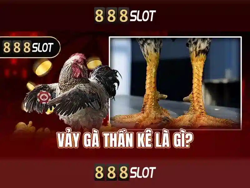 Hướng Dẫn Tải APK 888SLOT