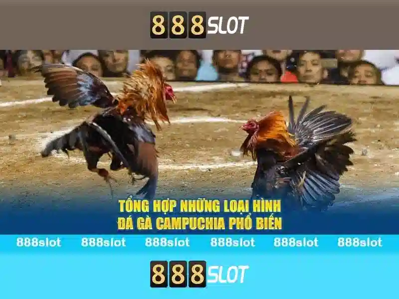 Trải nghiệm bắn cá 888SLOT