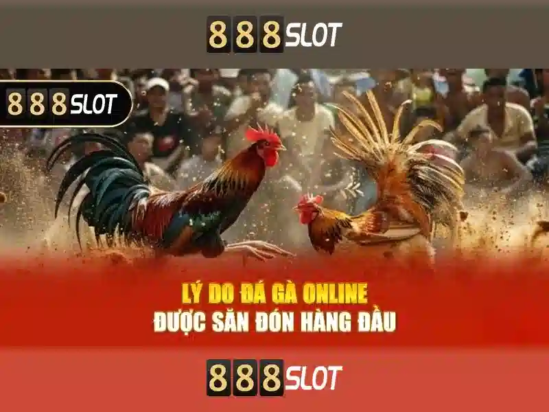 Trải Nghiệm Hỗ Trợ Khách Hàng Đẳng Cấp