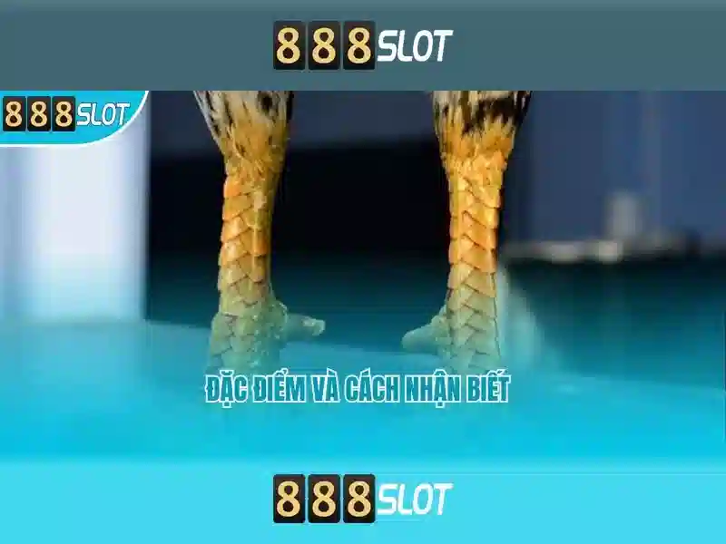 Giới Thiệu Về 888SLOT – Nền Tảng Slot Uy Tín