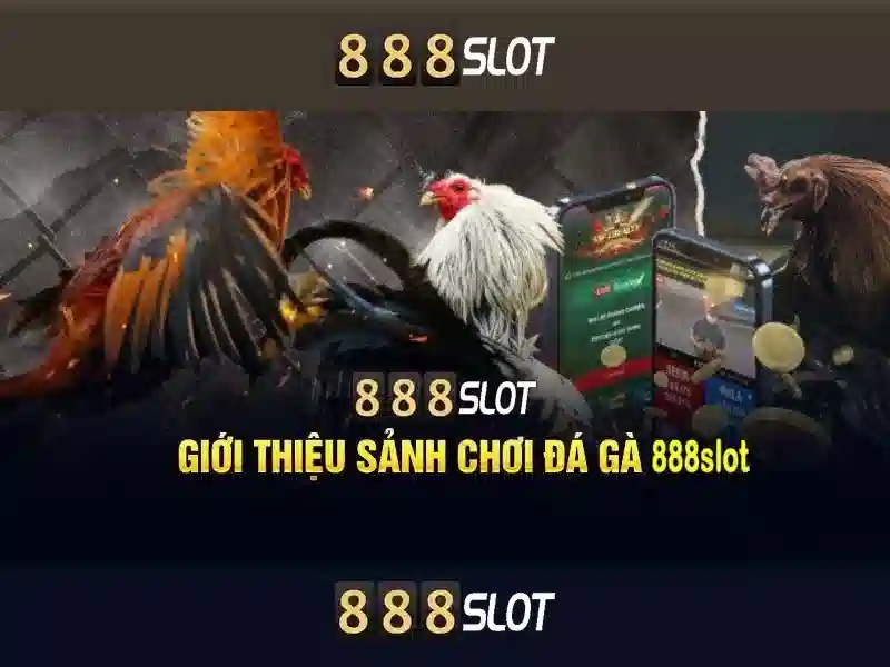 Đặc Điểm Nổi Bật