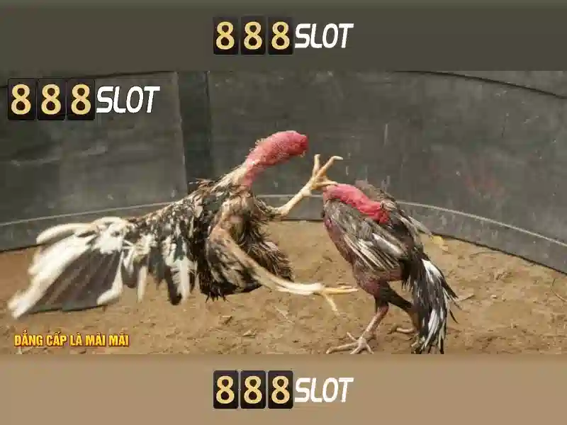 khuyến mãi slot 888slot