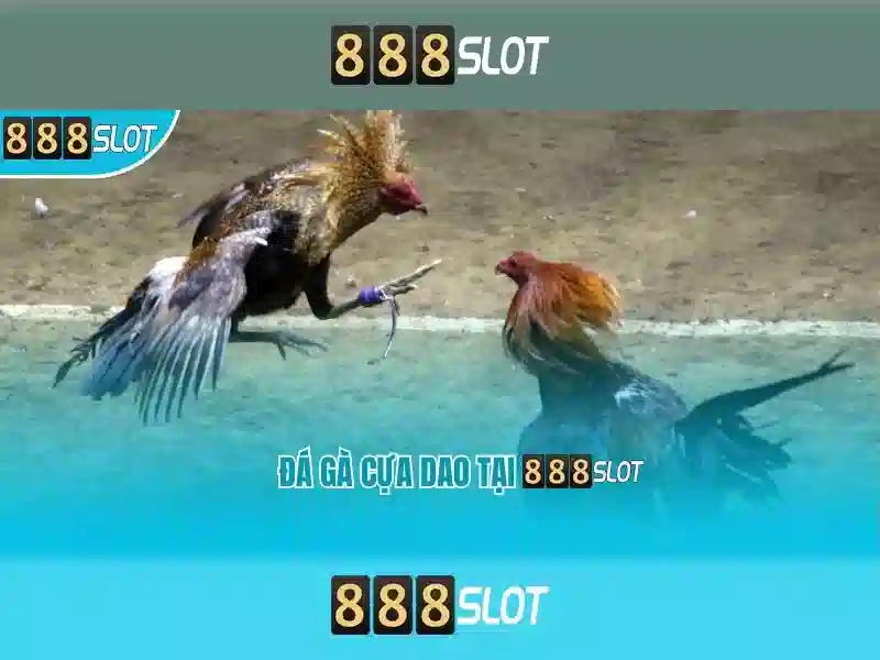 Hướng Dẫn Chi Tiết