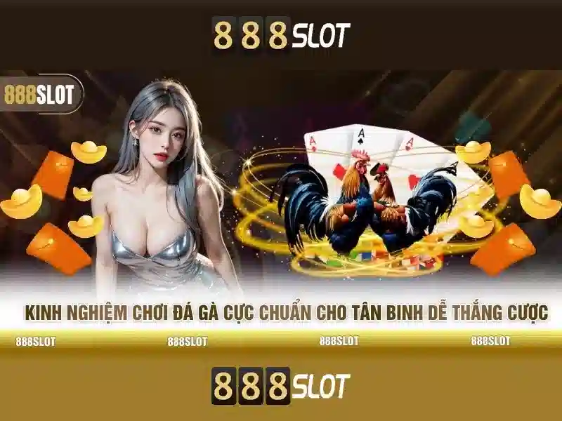 888slot rtp – Đánh Giá Từ Cộng Đồng Người Chơi