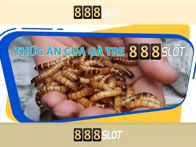 888SLOT - Trải Nghiệm Cá Cược Slot Đỉnh Cao, Ưu Đãi 888slot-888 2026