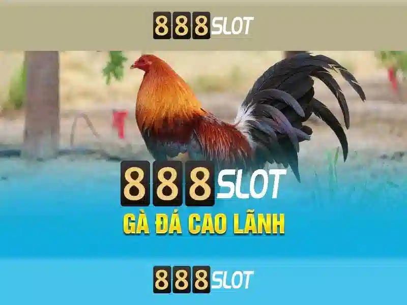 trải nghiệm cá cược xổ số 360