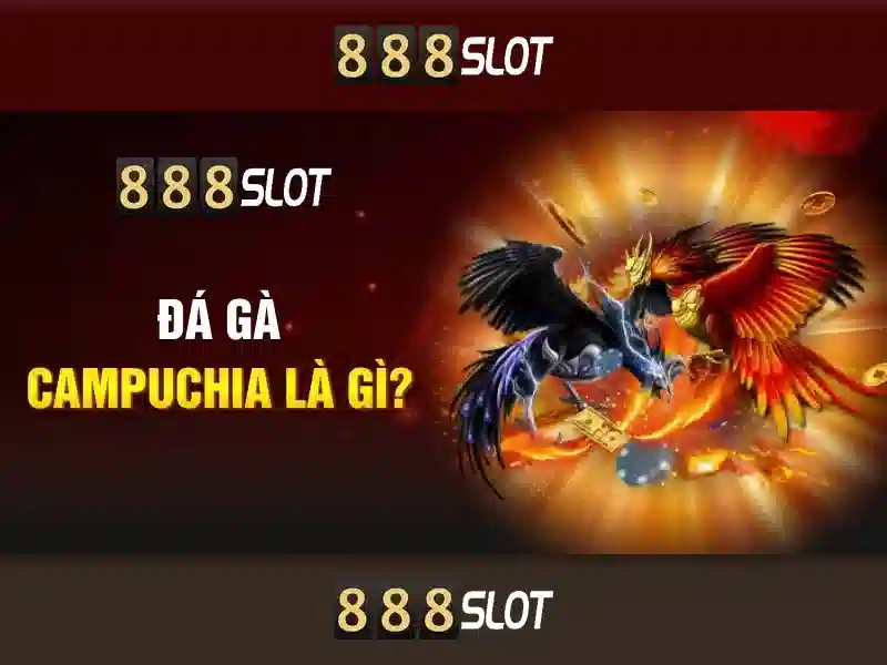 Chính Sách 888SLOT