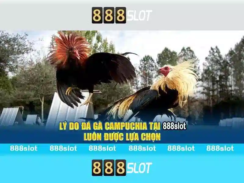 Khám Phá 888SLOT