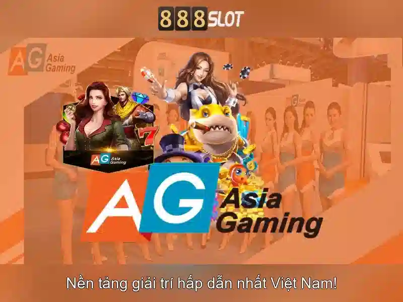 Đặc Điểm Nổi Bật
