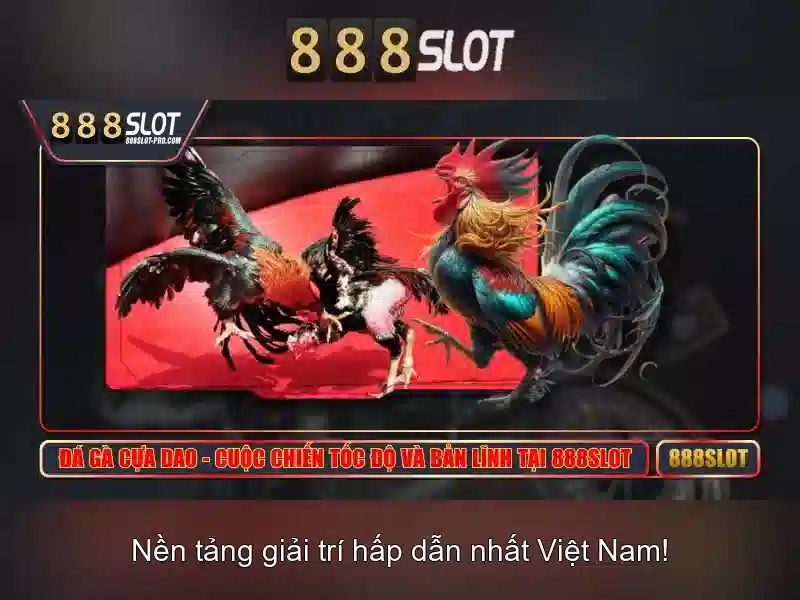 Tinh toan ty le cuoc dong the thao AI