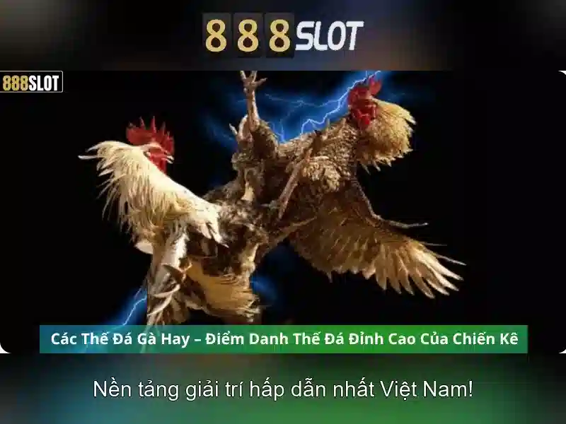 ưu đãi 888slot