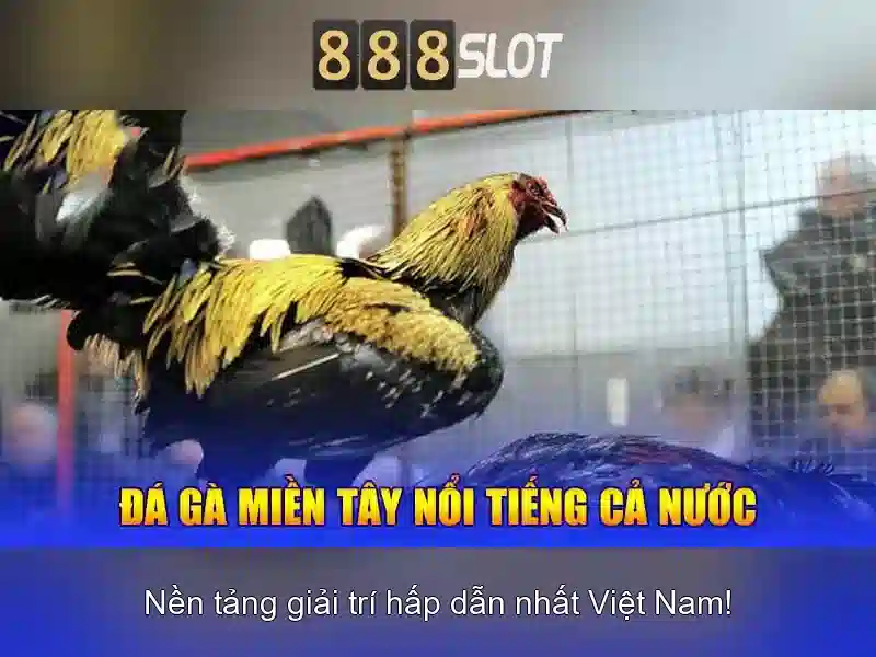 Giải trí vô cực