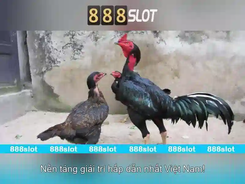 Tỷ Lệ Thưởng Cao