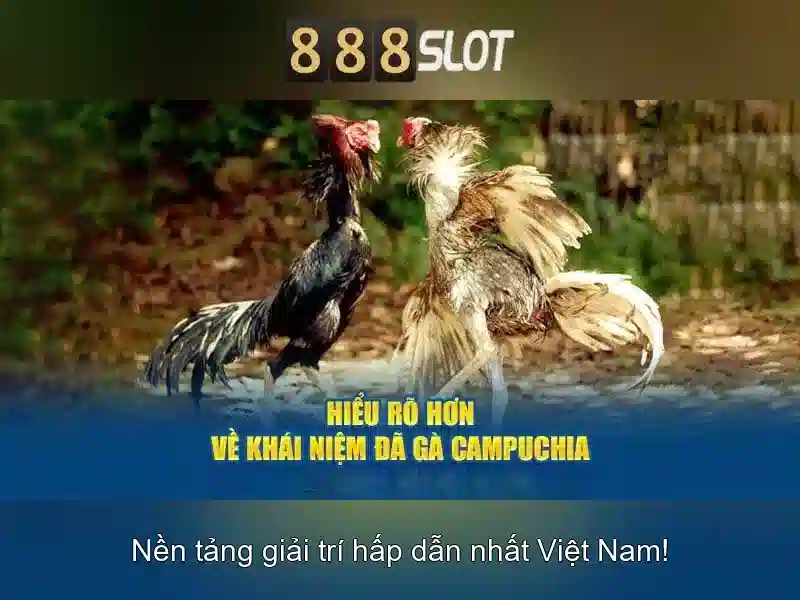 khuyến mãi hấp dẫn