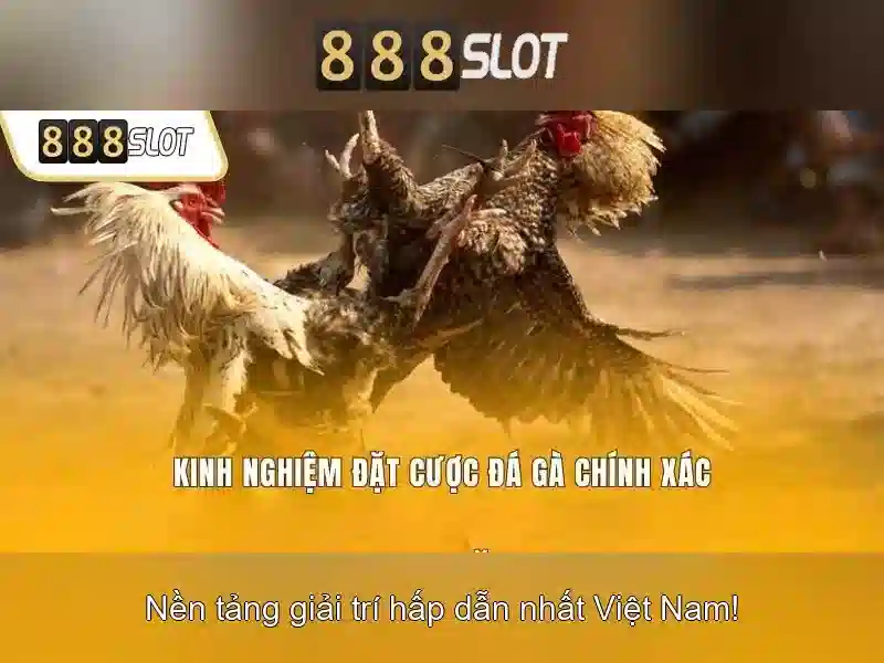 Cách Thức Tham Gia